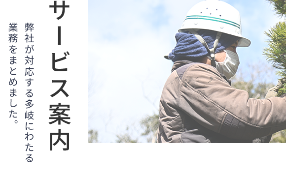 サービス案内