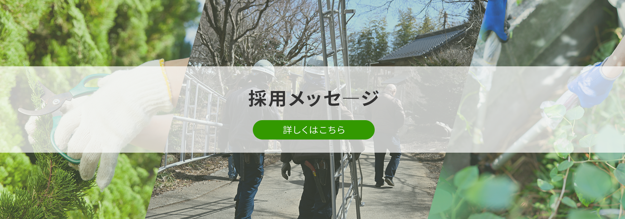 採用メッセ―ジ