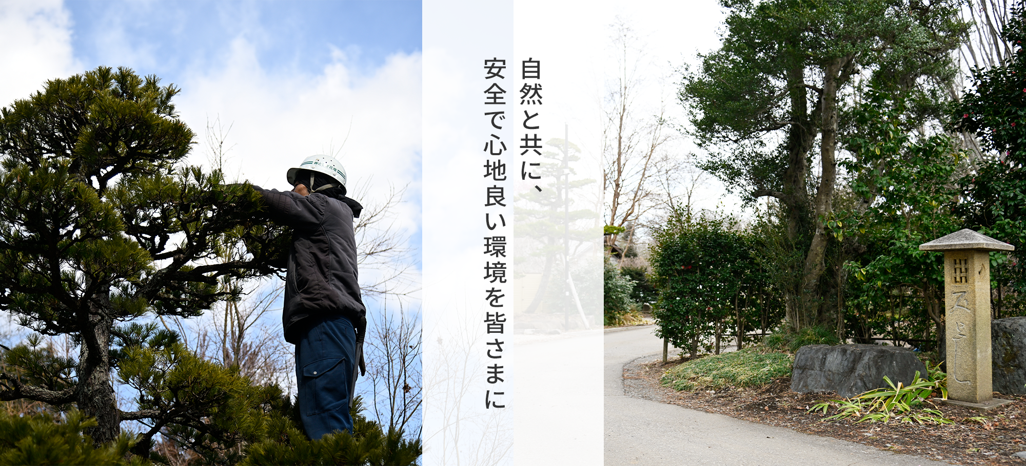 株式会社とちぎ花壇